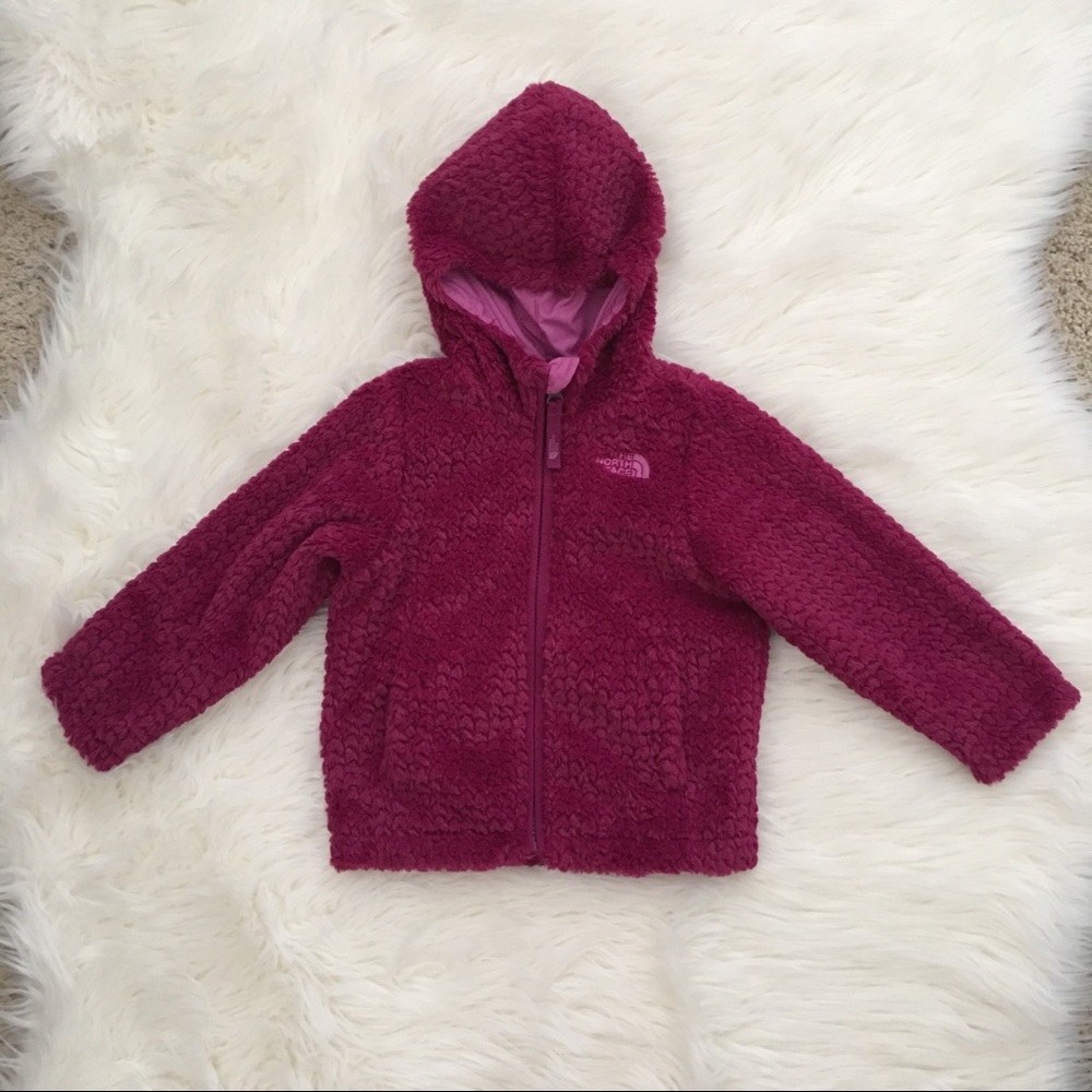 The North Face toddler hooded fleece jacket